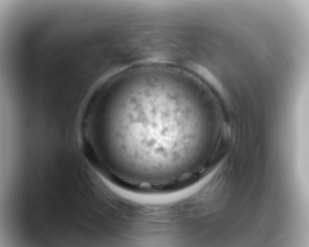 X0000088651356200706011213