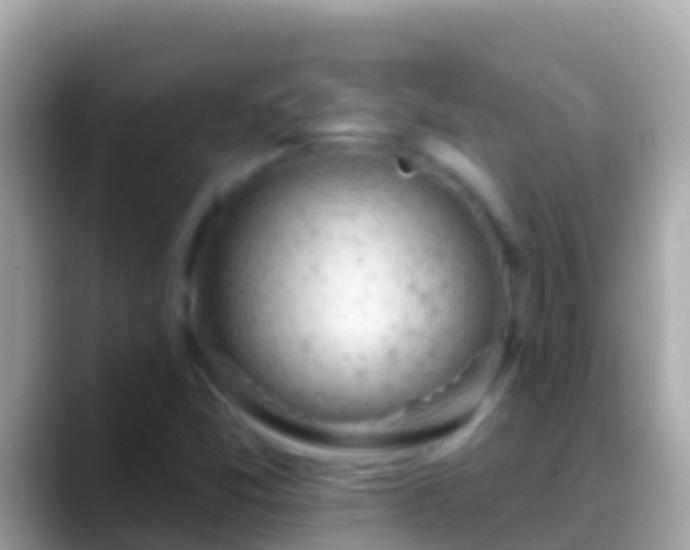 X0000088651357200706011213