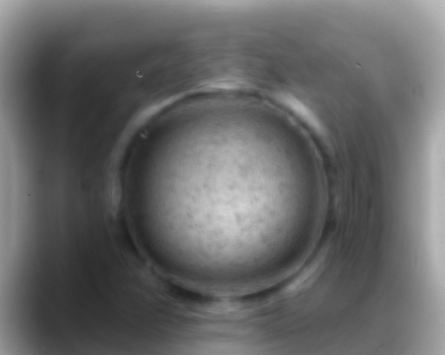 X0000088651358200706011213