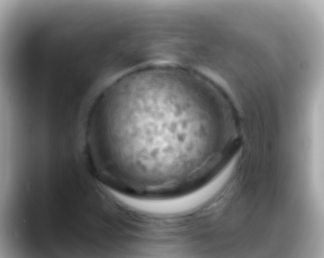 X0000088651359200706011213