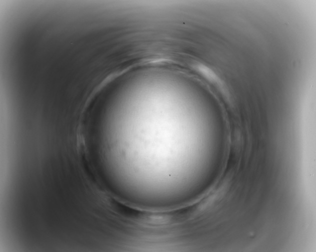 X0000088651361200706011213