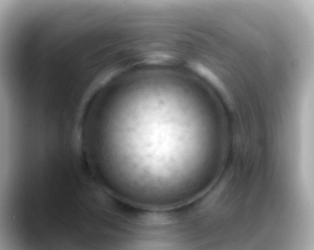 X0000088651362200706011213