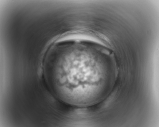 X0000088651363200706011213