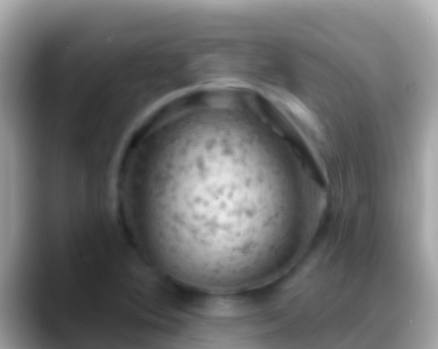 X0000088651364200706011213