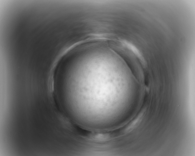 X0000088651365200706011213
