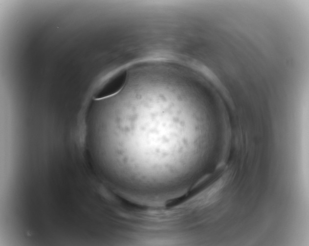 X0000088651366200706011213