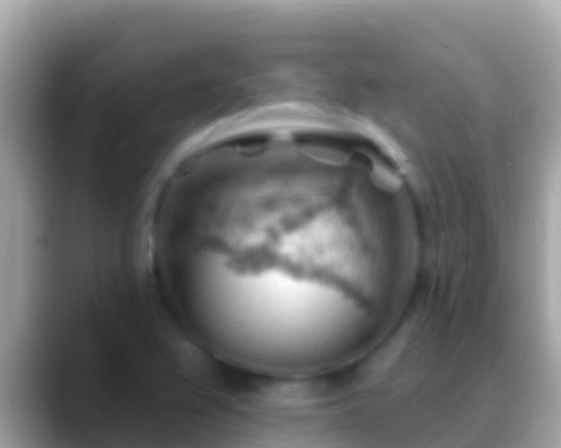 X0000088651367200706011213
