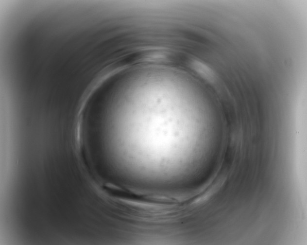 X0000088651370200706011213