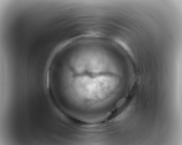 X0000088651371200706011213