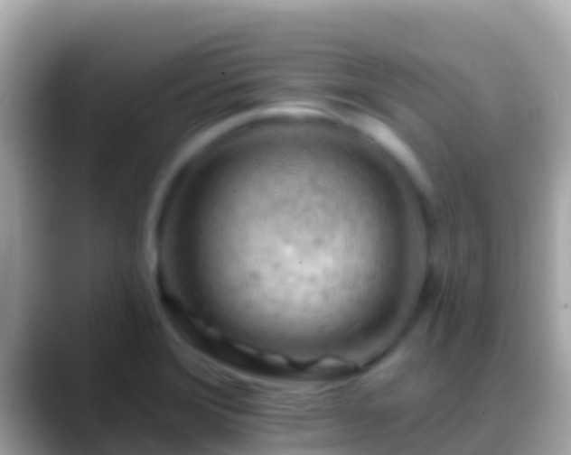 X0000088651372200706011213
