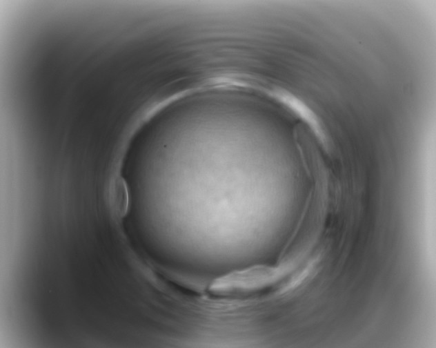 X0000088651373200706011213