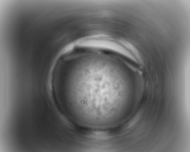 X0000088651375200706011213