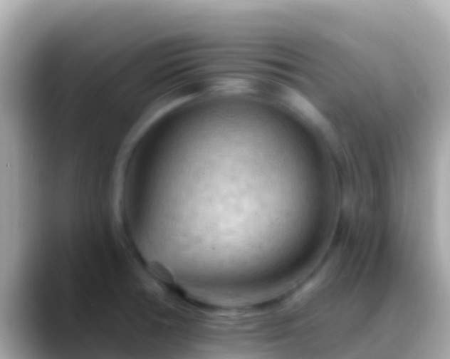 X0000088651378200706011213