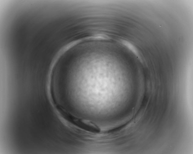 X0000088651379200706011213