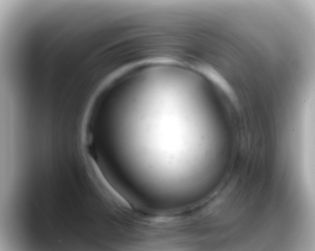 X0000088651380200706011213