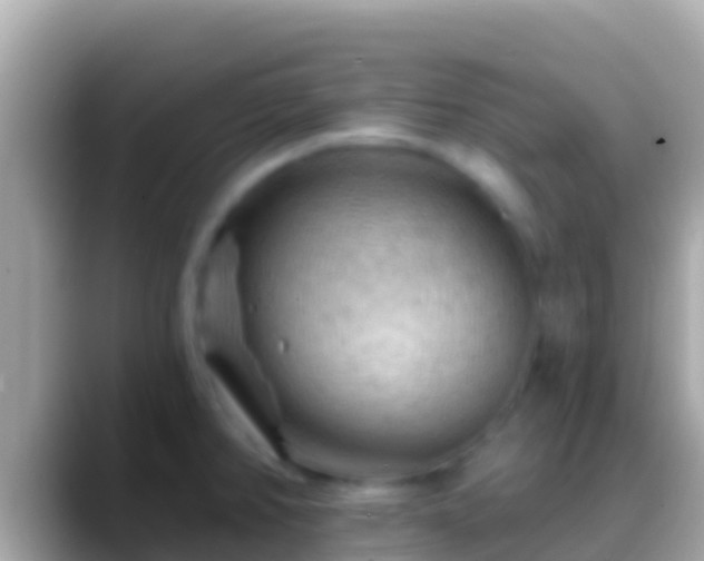 X0000088651382200706011213
