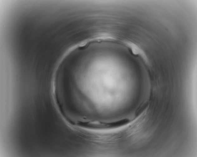 X0000088651383200706011213