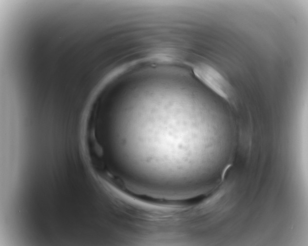 X0000088651384200706011213