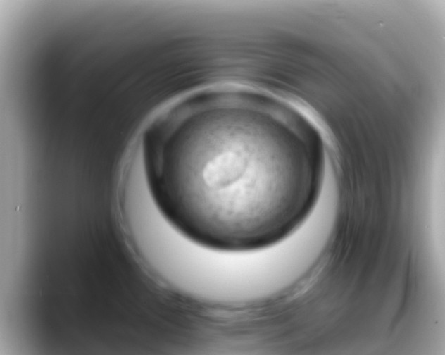 X0000088651388200706011213