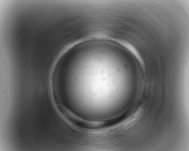 X0000088651389200706011213