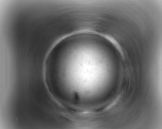 X0000088651390200706011213