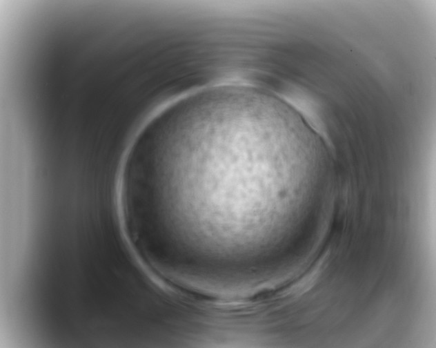 X0000088651391200706011213