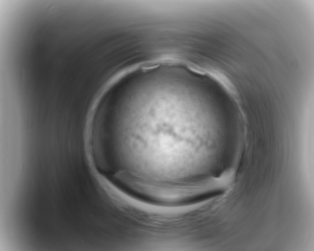 X0000088651392200706011213
