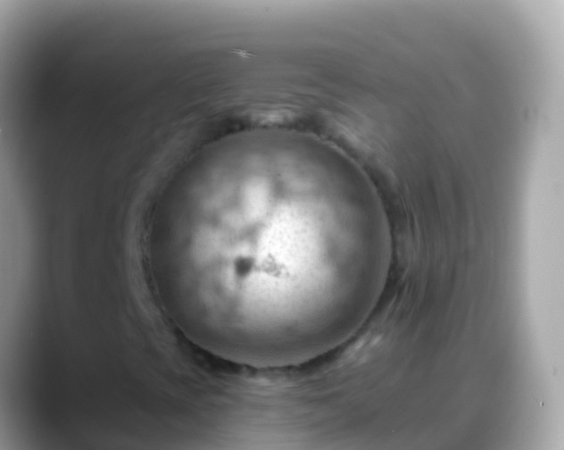 X0000088651393200706011212