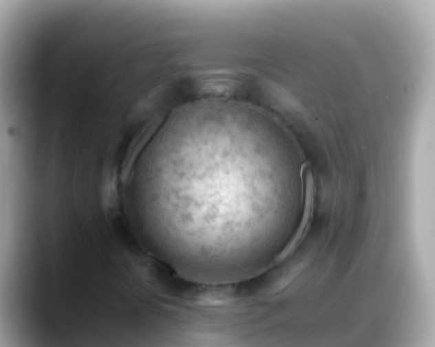 X0000088651394200706011212