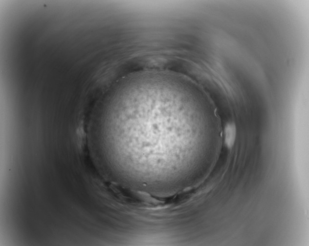 X0000088651395200706011212