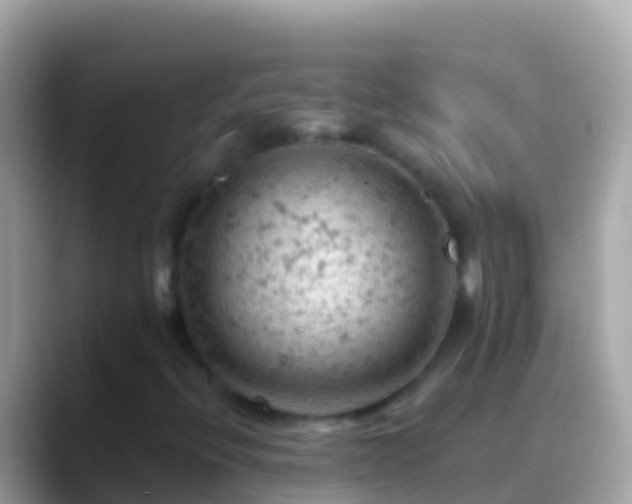 X0000088651396200706011212