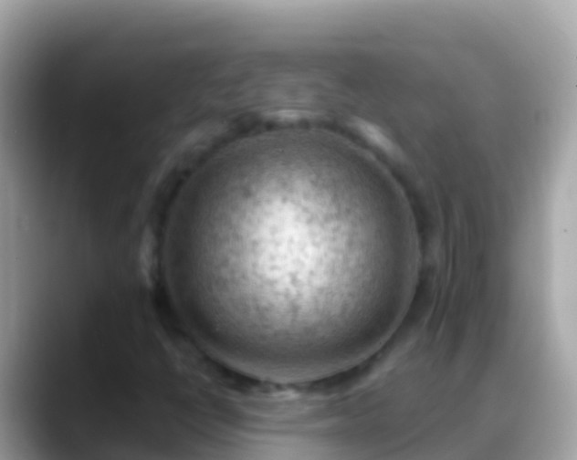 X0000088651398200706011212