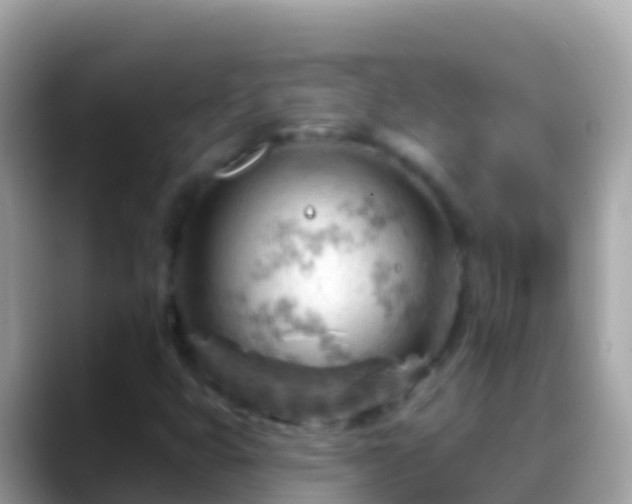 X0000088651399200706011212