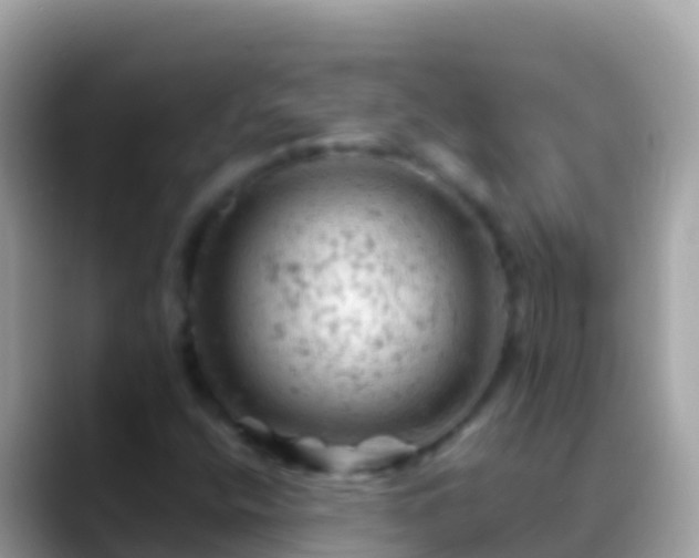 X0000088651400200706011212
