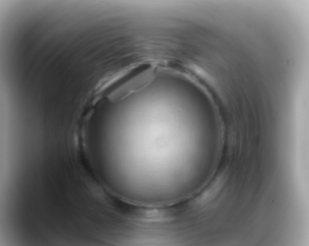 X0000088651401200706011212