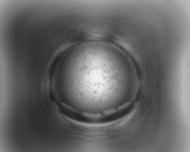 X0000088651402200706011212