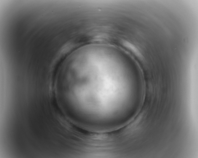 X0000088651403200706011212