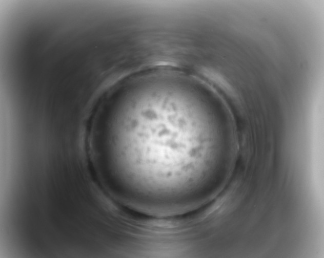 X0000088651404200706011212