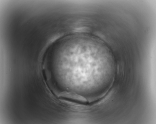 X0000088651405200706011212