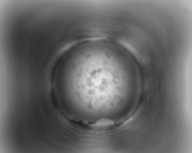 X0000088651407200706011212