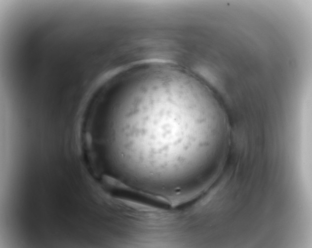 X0000088651408200706011212