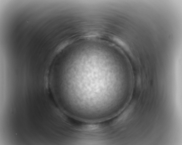 X0000088651409200706011212