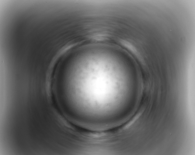 X0000088651410200706011212
