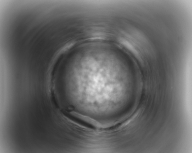 X0000088651411200706011213
