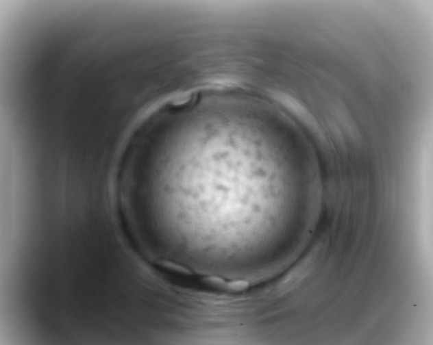 X0000088651412200706011213