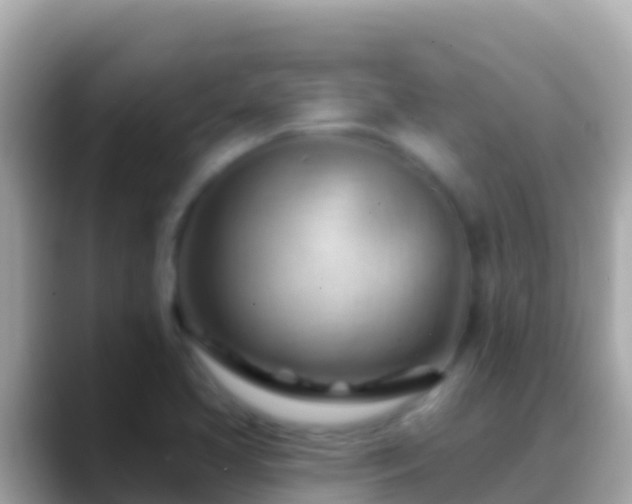X0000088651413200706011213