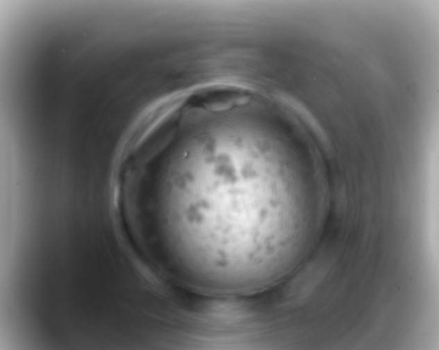 X0000088651416200706011213