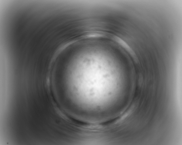 X0000088651417200706011213