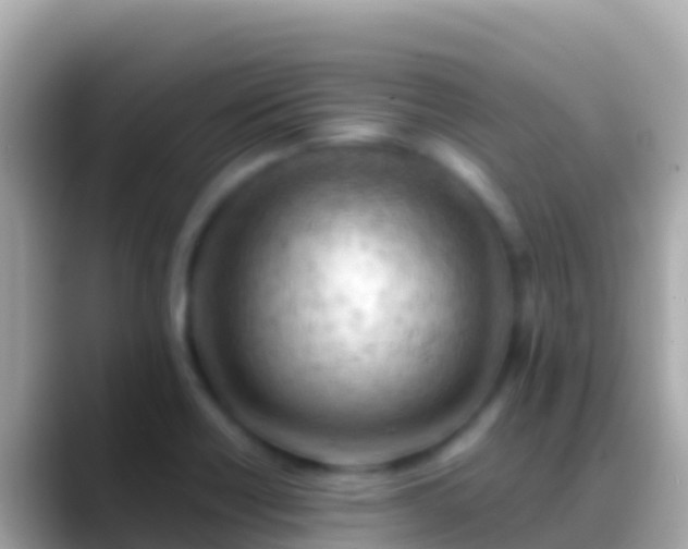 X0000088651418200706011213