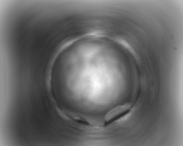 X0000088651421200706011213